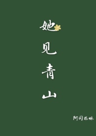 她见青山同类型小说